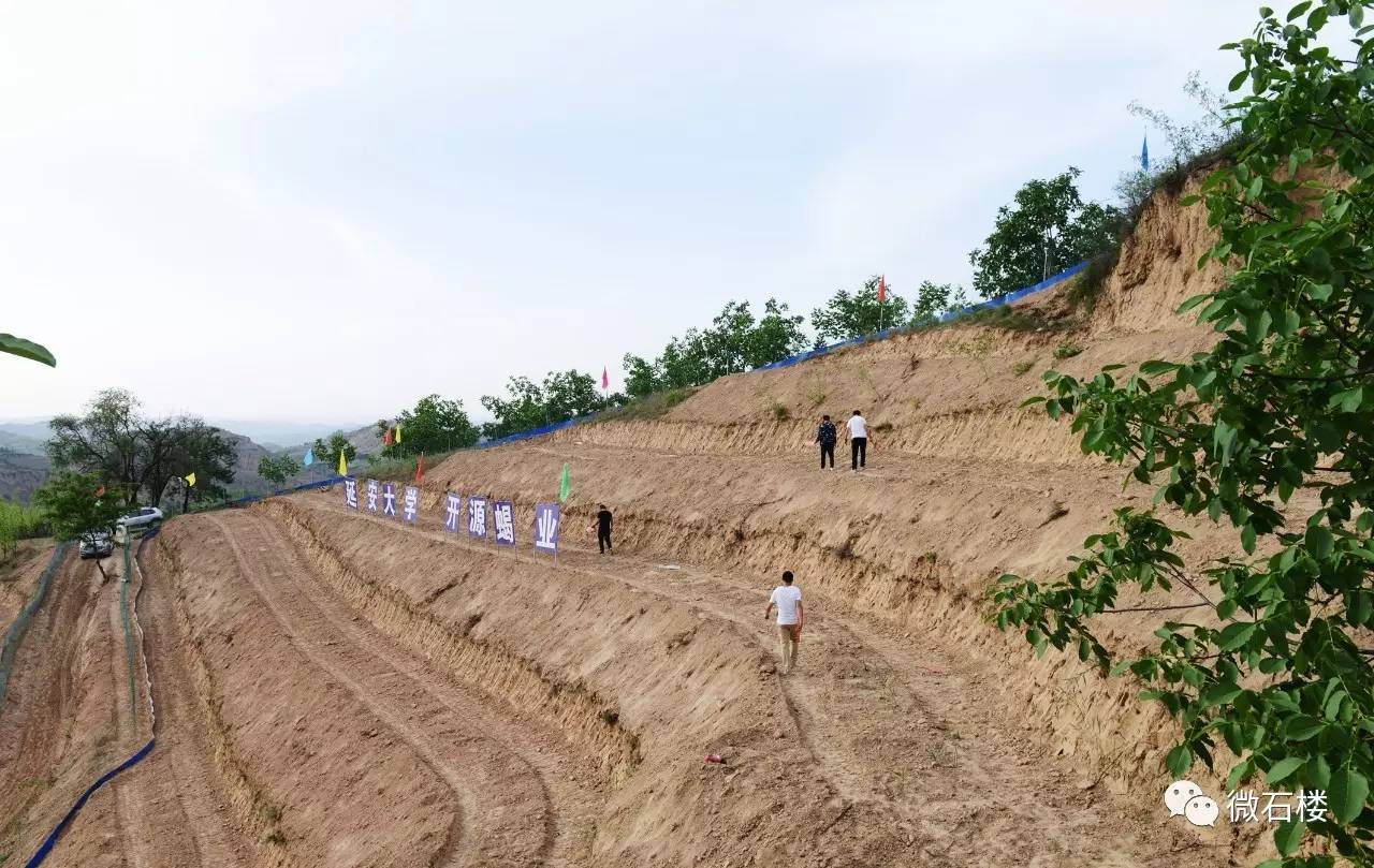 【微石楼】荒山土坡养蝎子 成就脱贫致富梦