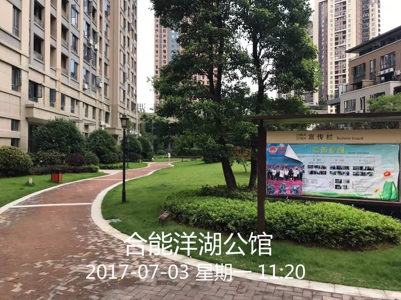 汛期内洋湖生态新城寸土未失,湿地景区7月6日开园.