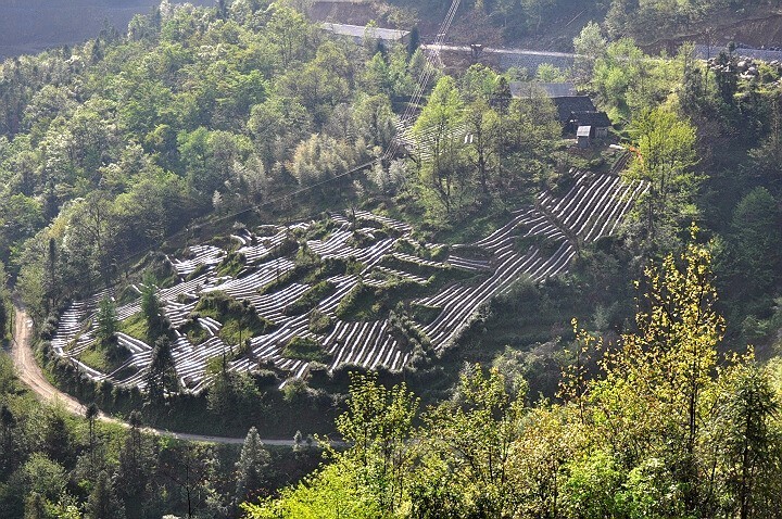 宜昌五峰土家族人口_宜昌五峰高铁线路图(3)