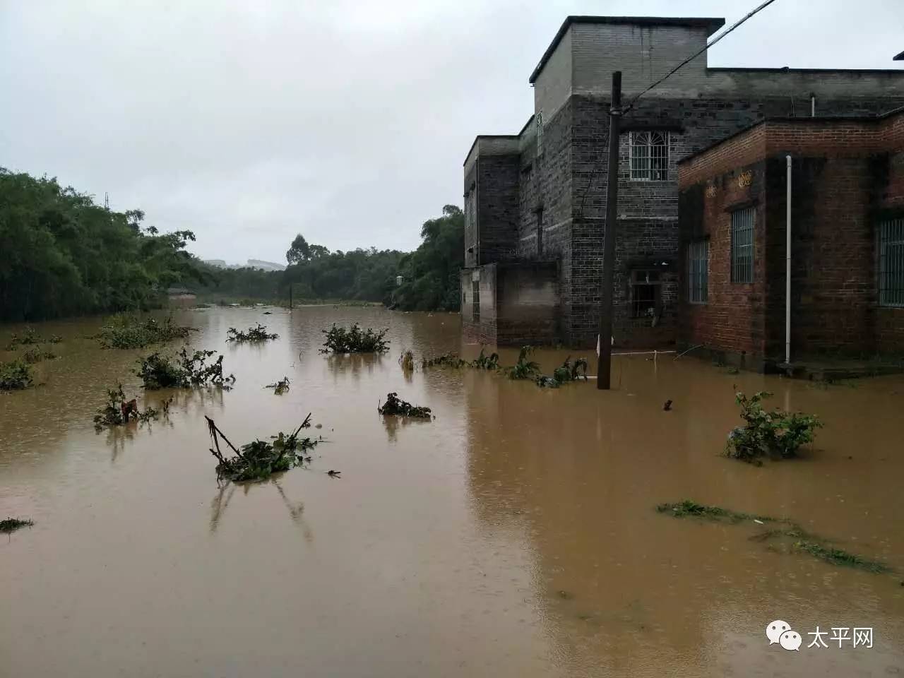 独家空中航拍藤县太平镇洪水灾情图