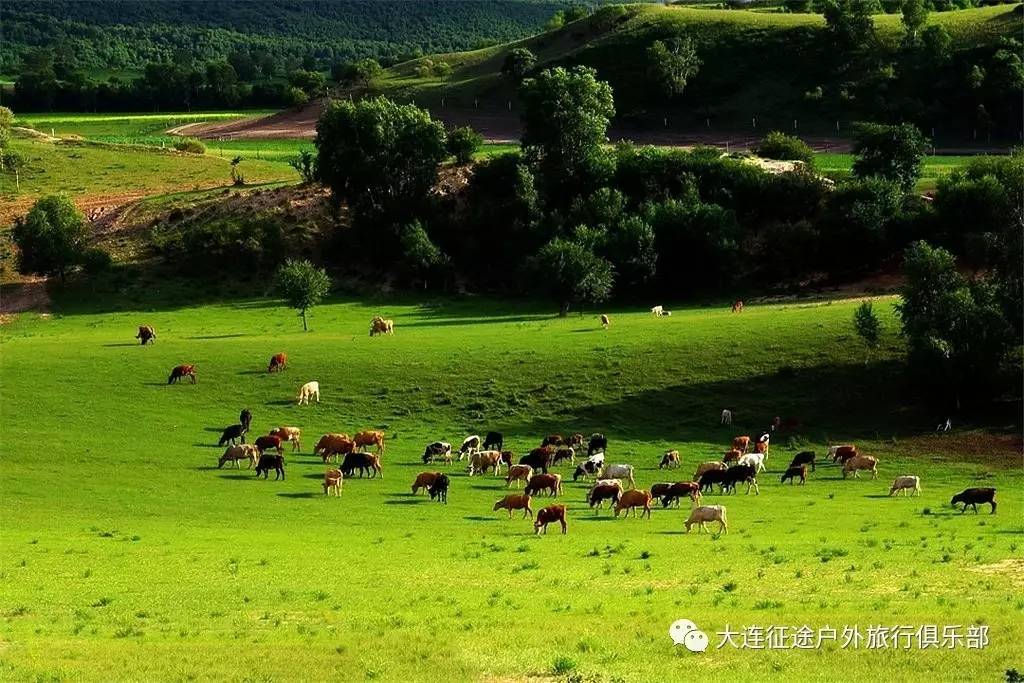 文章内容 塞罕坝国家森林公园林业与旅游产业融合发展意义以及