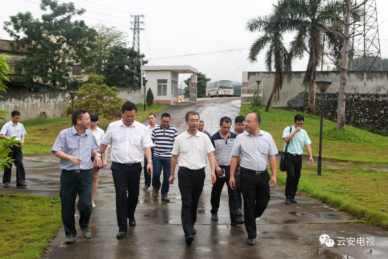 财产安全,昨天下午,市委常委,云安区委书记,云浮新区党工委书记梁海卫