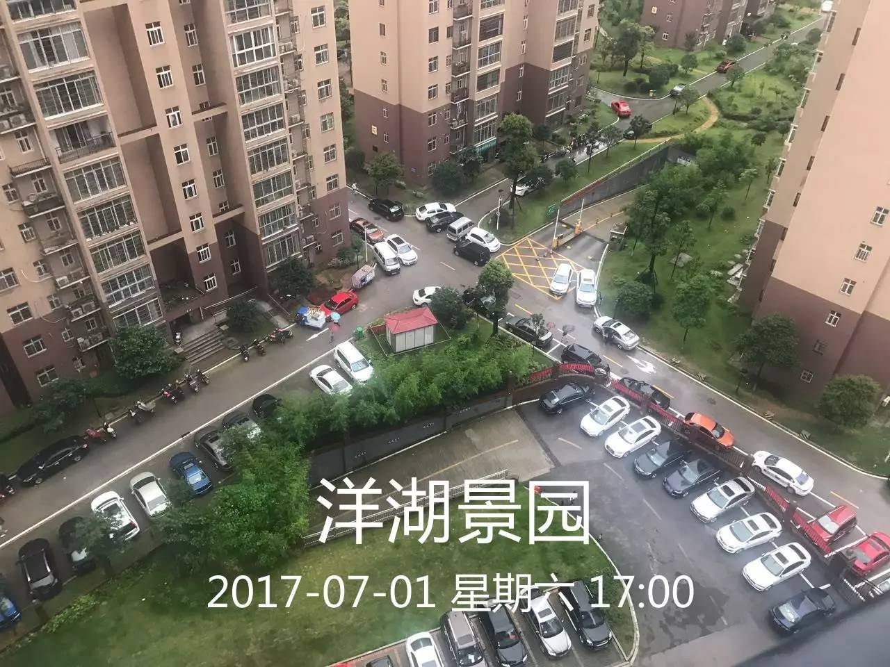 汛期内洋湖生态新城寸土未失,湿地景区7月6日开园.