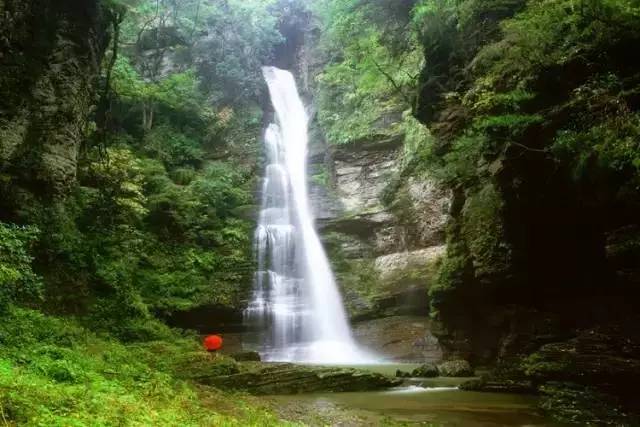 地址:四川雅安市碧峰峡风景区  路线:德阳—成都—雅安—碧峰峡风景