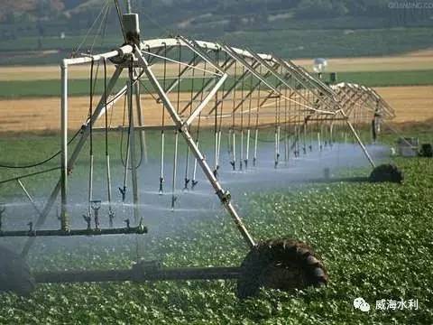 水资源严重紧缺的以色列 他们的农业如何节水