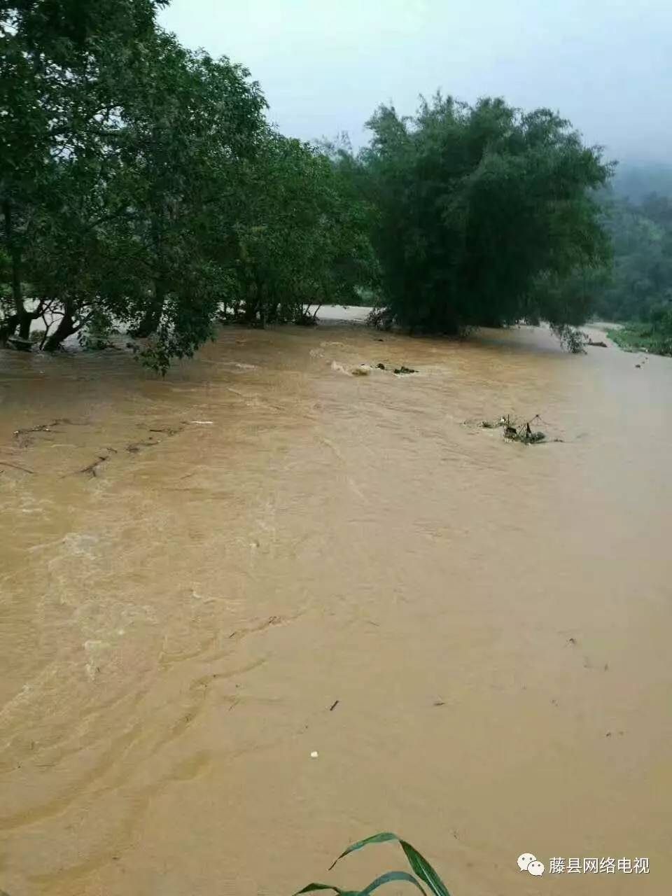 被洪水淹没的农田