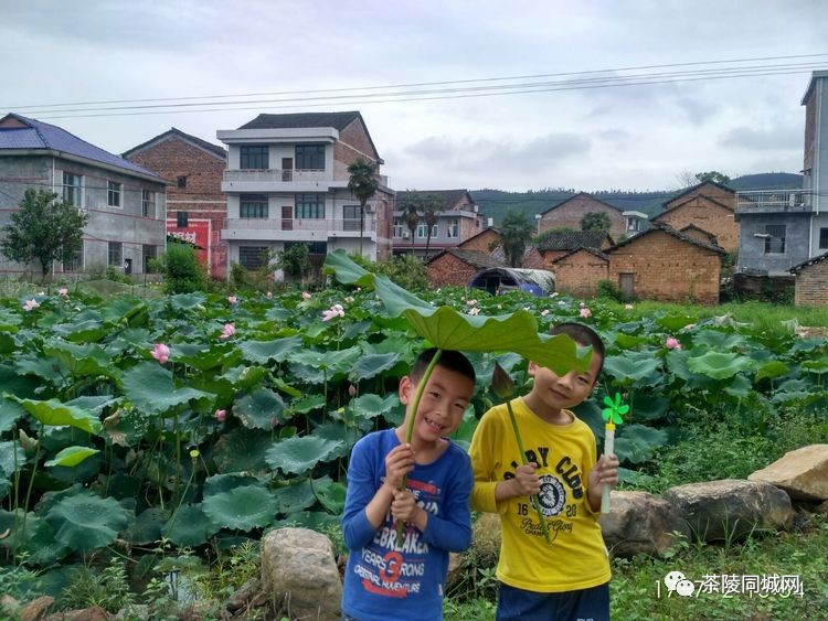 茶陵严塘:雨后郊游,走在乡村的小路上!美景一幕幕浮现