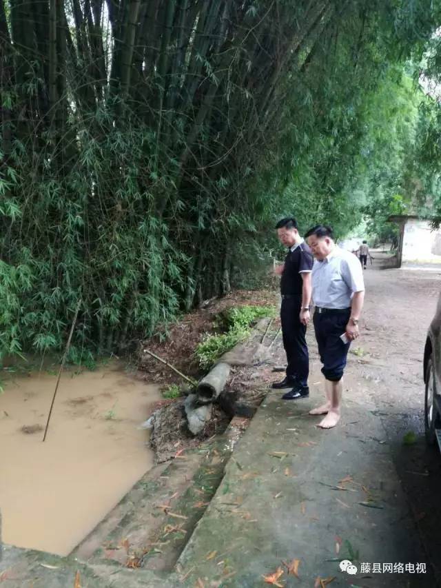 藤县天平人口_藤县天平镇罗曼山图片(3)