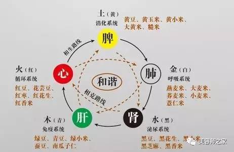 养生 五行 五脏,五腑 五官 五华 五味,五色 五情,五液和身体的