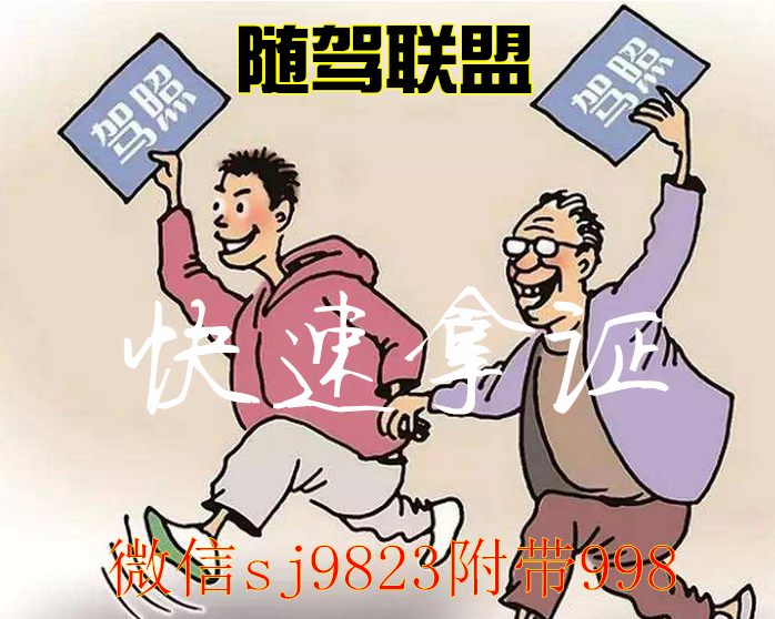 学生及上班族福利：每天学车一小时，40天拿驾驶证