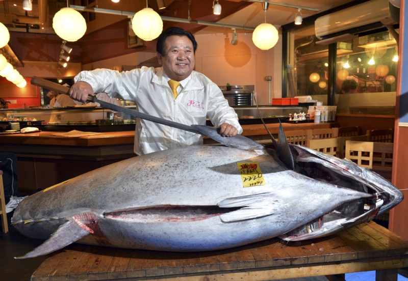 顶级美味#蓝鳍金枪鱼—大脂#,能吃到的都是人生赢家!