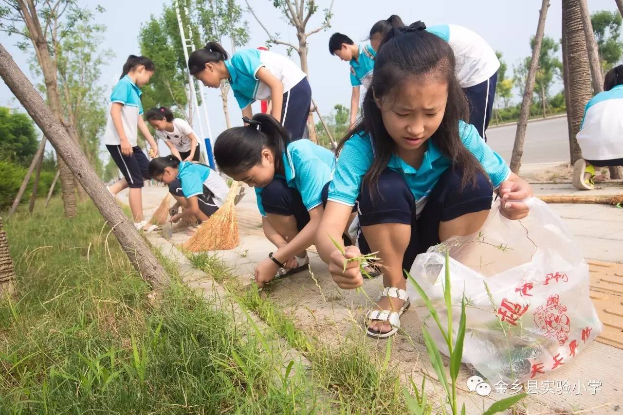 实小创城在行动:金乡县实验小学用志愿劳动服务向党的生日献礼