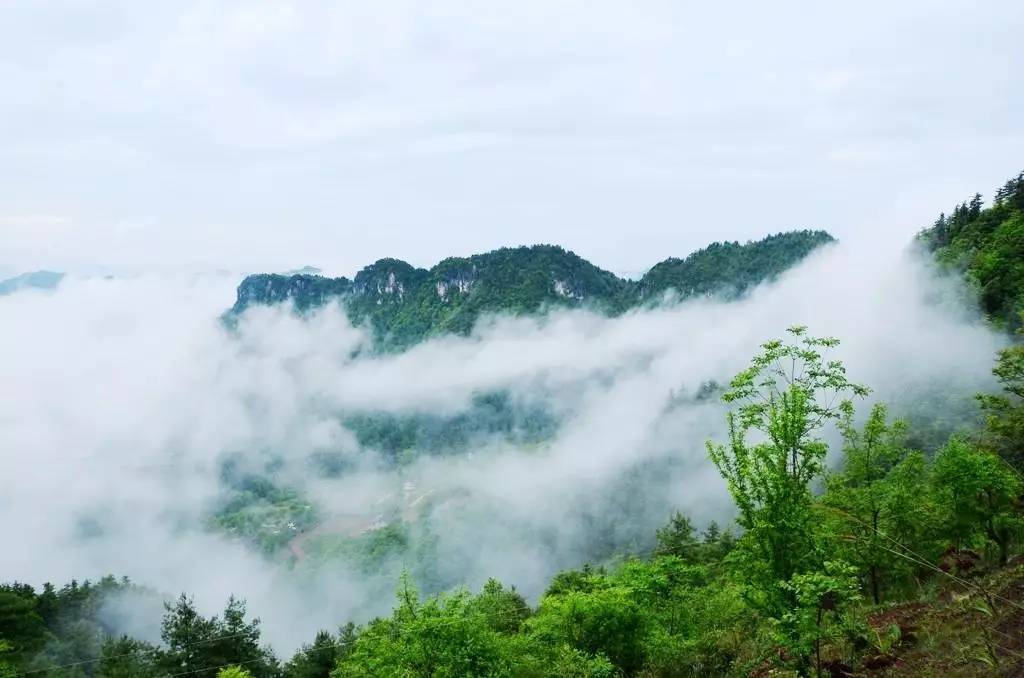 李家林场曾家山的后花园