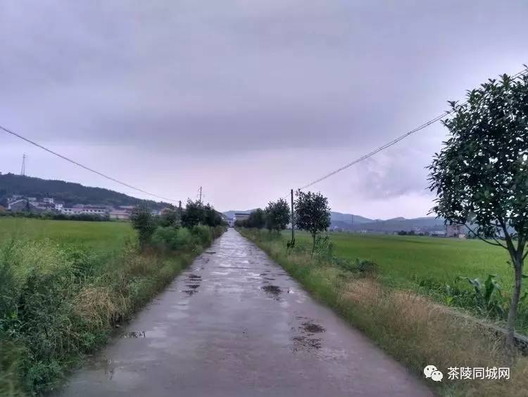 茶陵严塘:雨后郊游,走在乡村的小路上!美景一幕幕浮现在眼前!