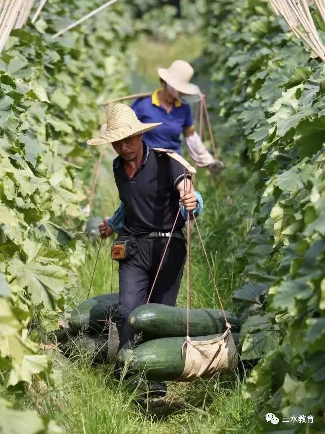 三水区大塘GDP_三水区地图(2)