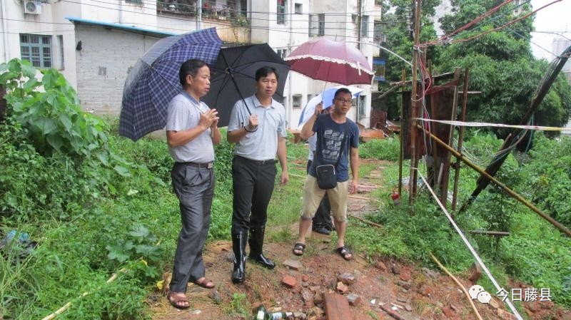 副调研员霍小钰到天平指导抗洪救灾 ▲藤州镇镇长梁志庆到地质灾害