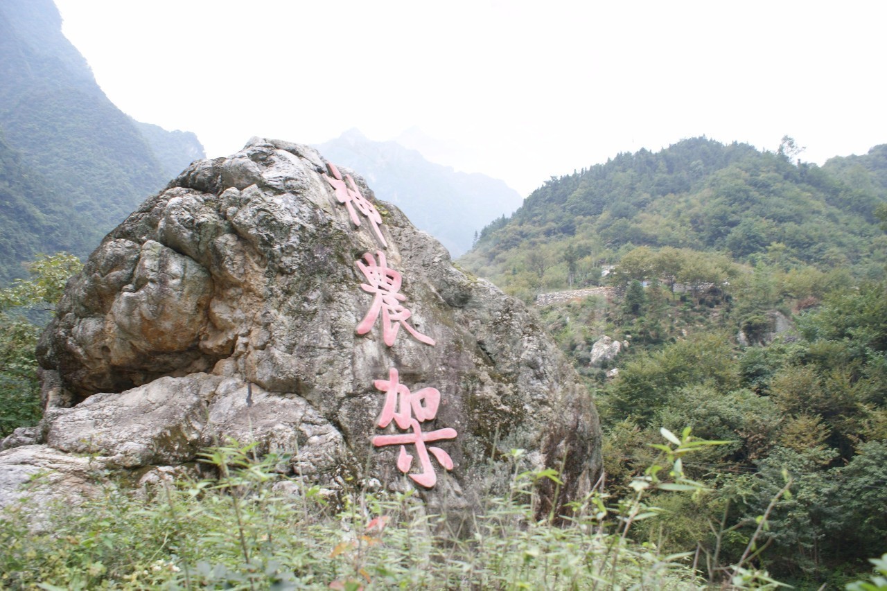 【广告发布】神农架三天二夜免费游!(崇阳郎辉商行升学宴购酒大赠送)