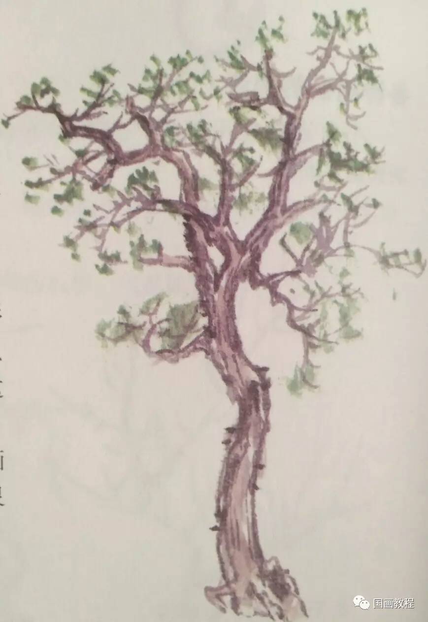 树梢树结和树根的画法