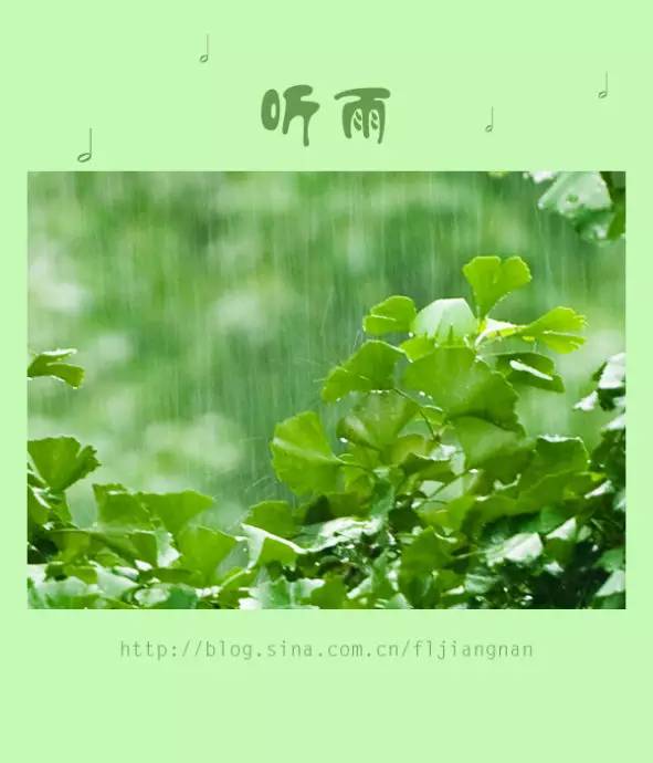 听雨