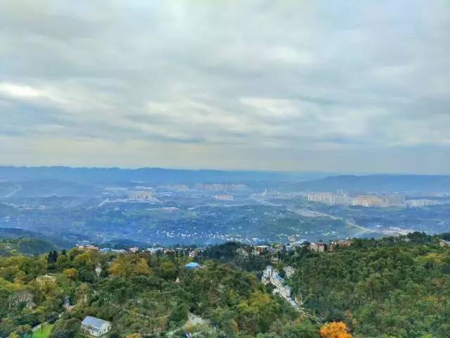 南山街道双龙村地处南山风景区中心区