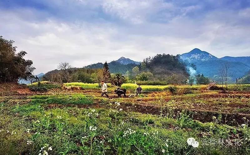 绩溪龙川,有龙在川