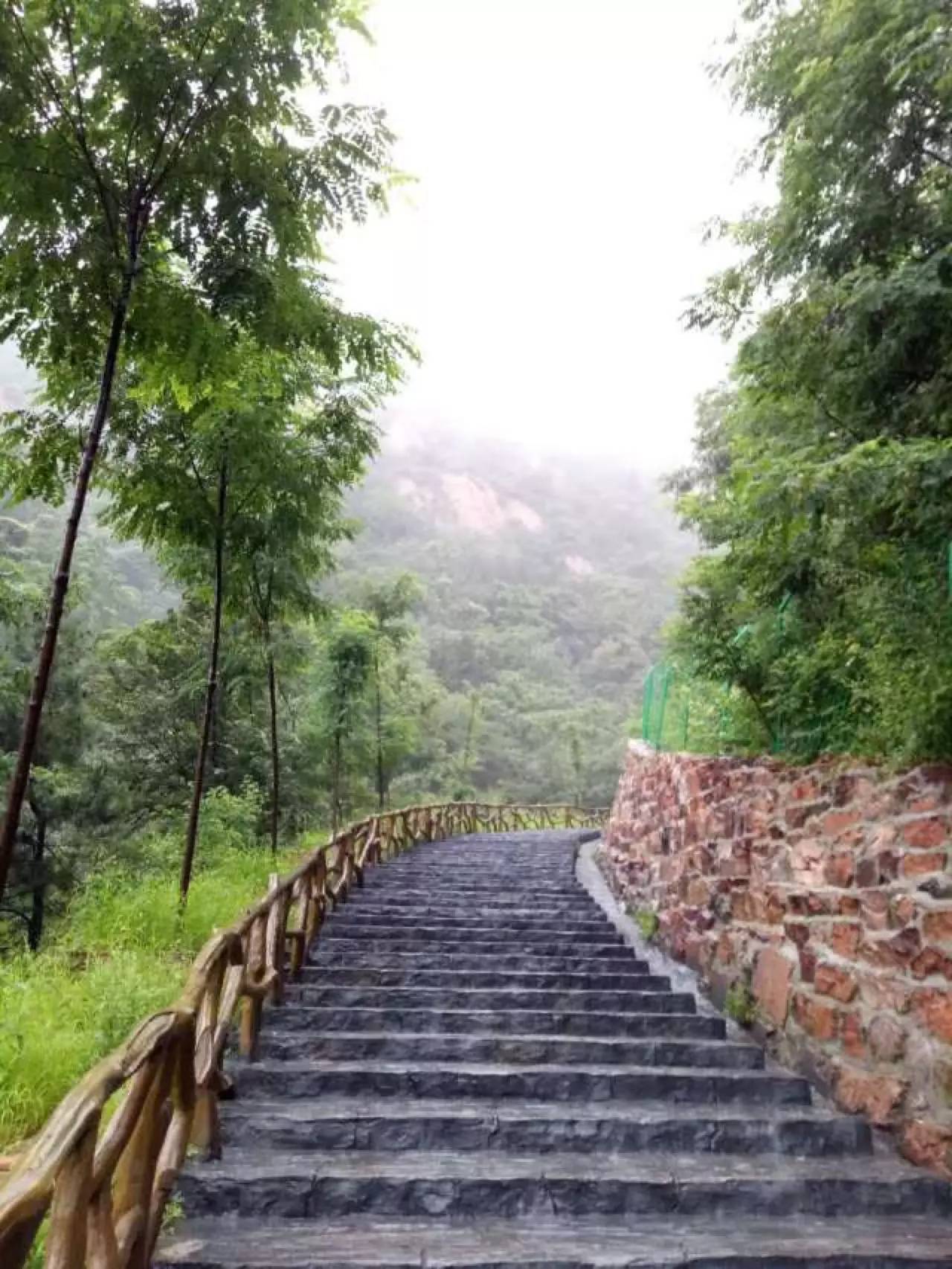 邢台紫金山一日游,免费啦!