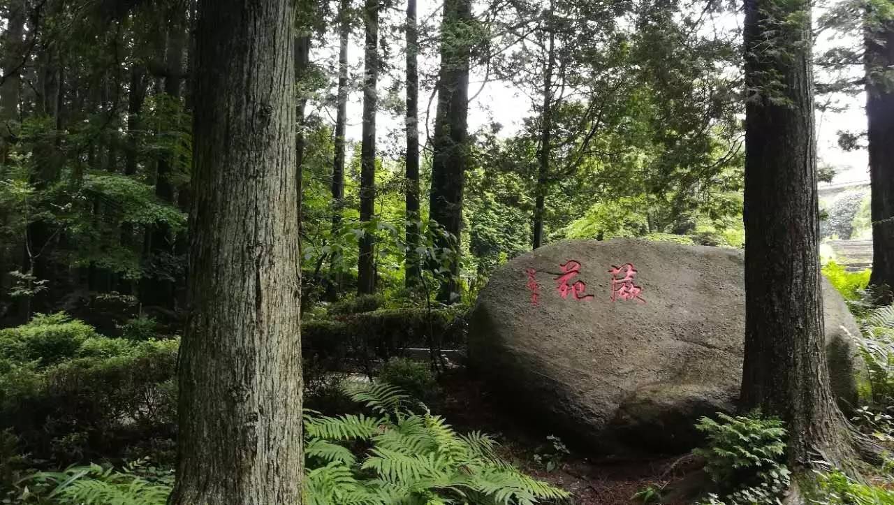 走进庐山庐山植物园