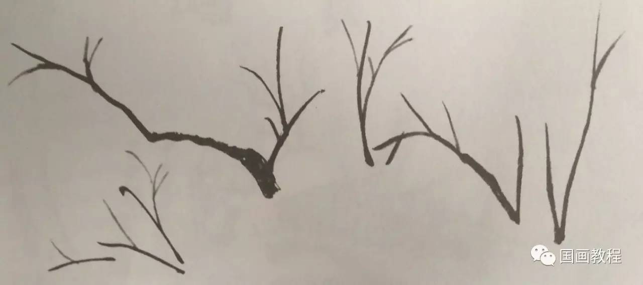 怎样画树