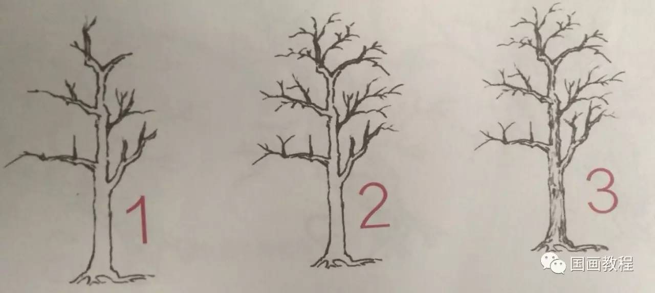 怎样画树