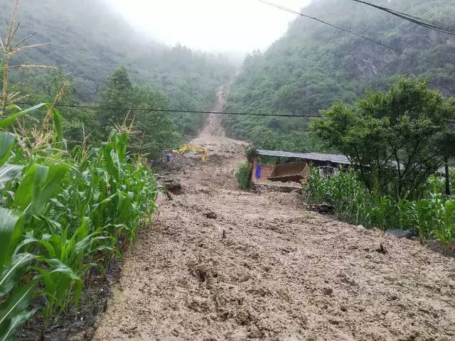 龙安镇人口_绵阳一条河道成私家菜地