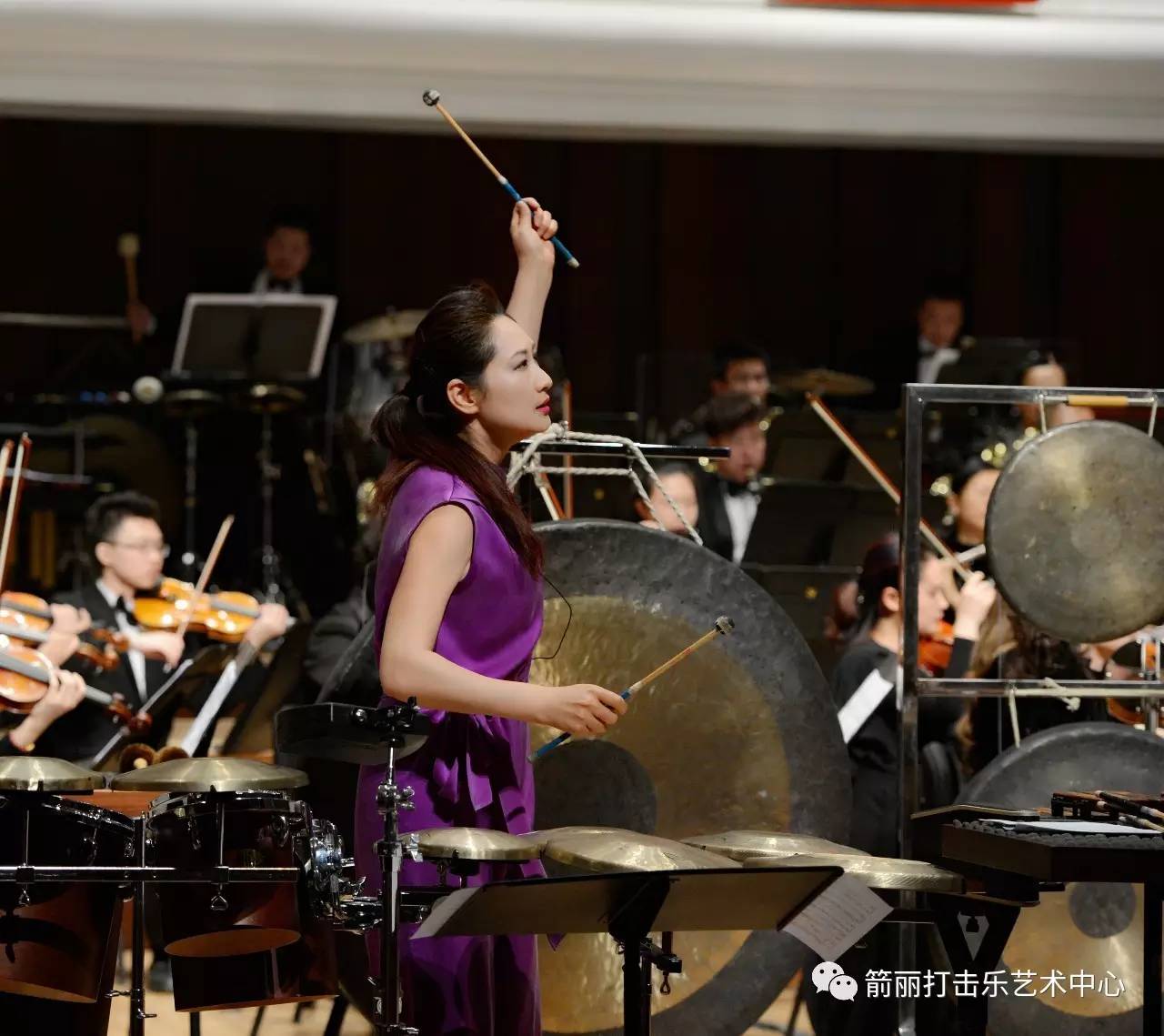 风雅国韵名家名曲音乐会—著名打击乐演奏家张景丽,指挥彭家鹏,联手