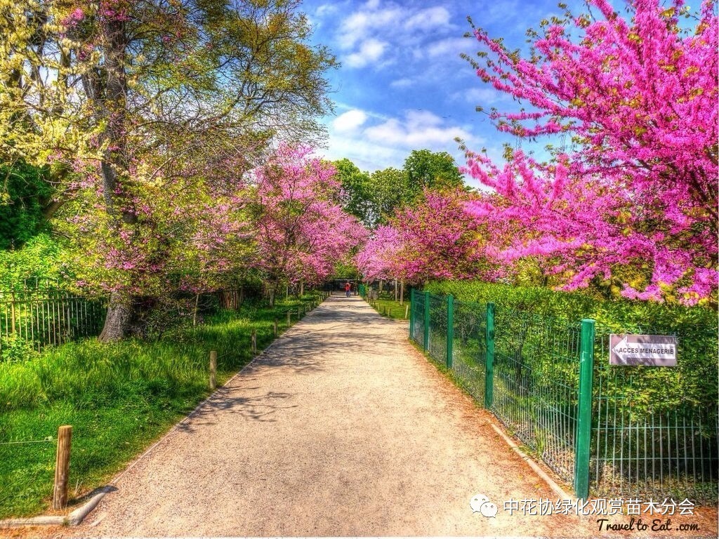 三客游 |法国巴黎植物园