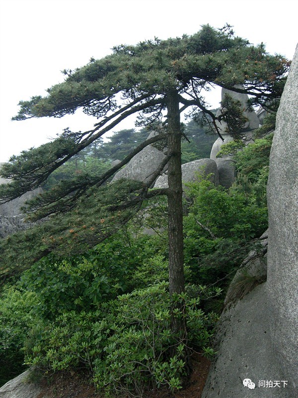 《神奇!天柱山》