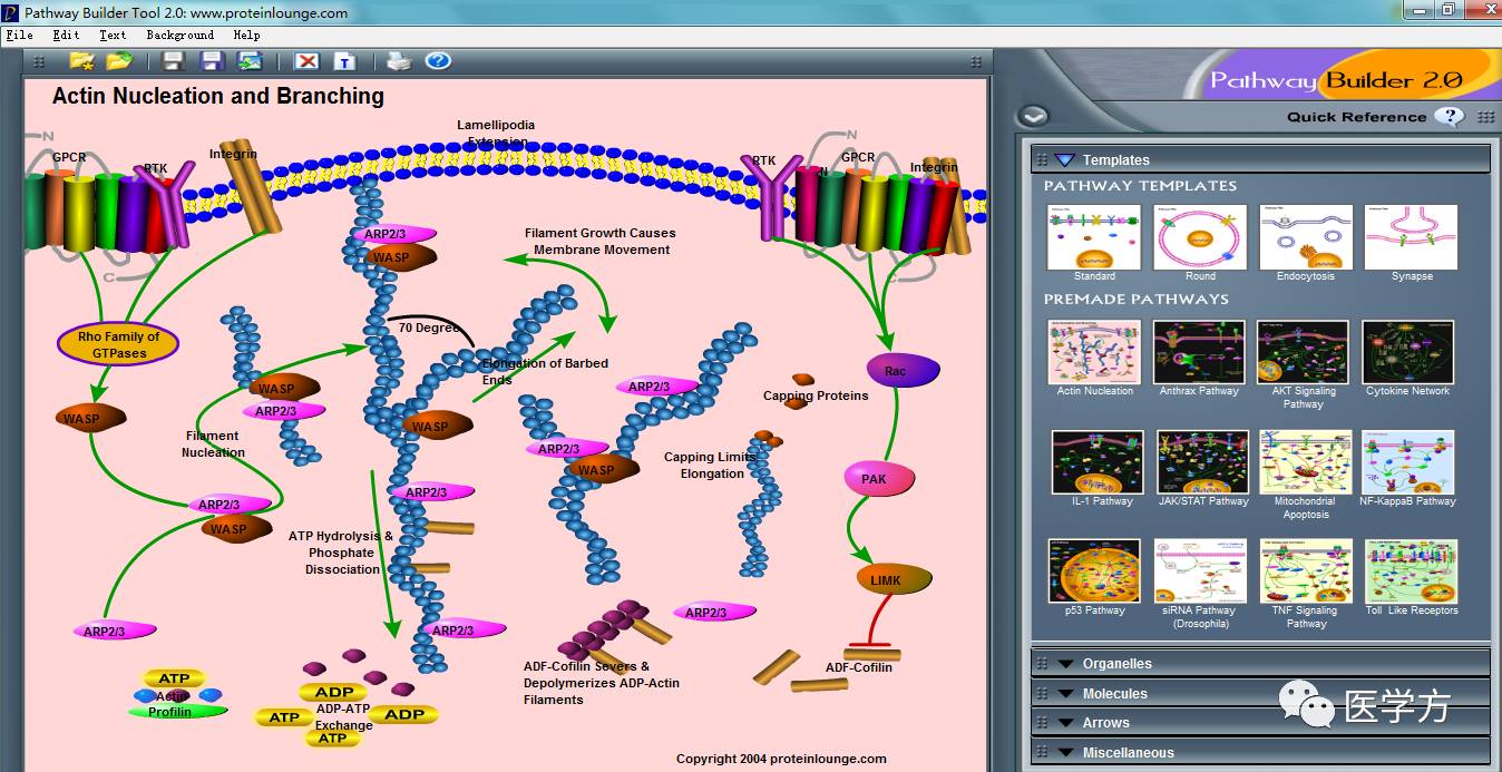 可以选择在模板上添加自己需要的分子2首先,打开pathway builder tool