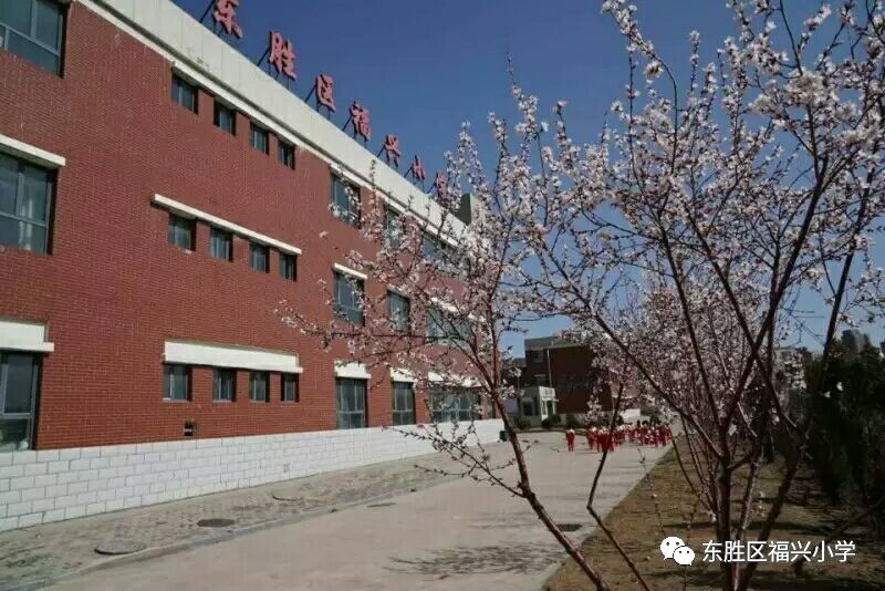 招聘|东胜区福兴小学诚聘数学英语音乐体育美术教师