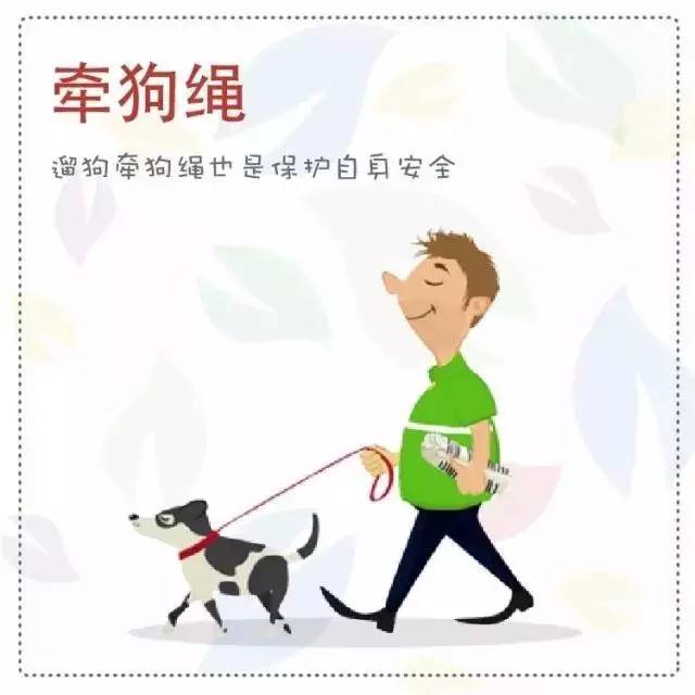 遛狗带口罩,牵狗绳,收拾狗便——文明养宠出行篇