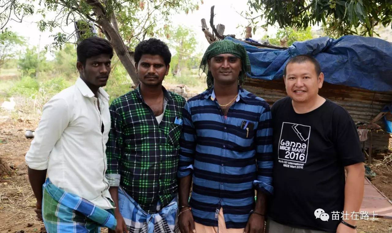 印度神庙宰羊祭祀活动,vathalagundupalani murugen temple世界最高