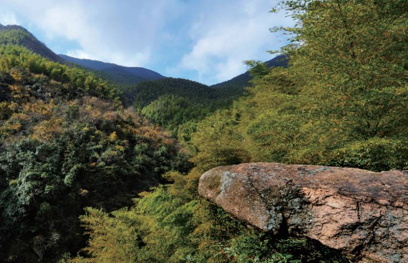 美丽乡村仙山仙水仙岩仙境邂逅美丽仙岩村