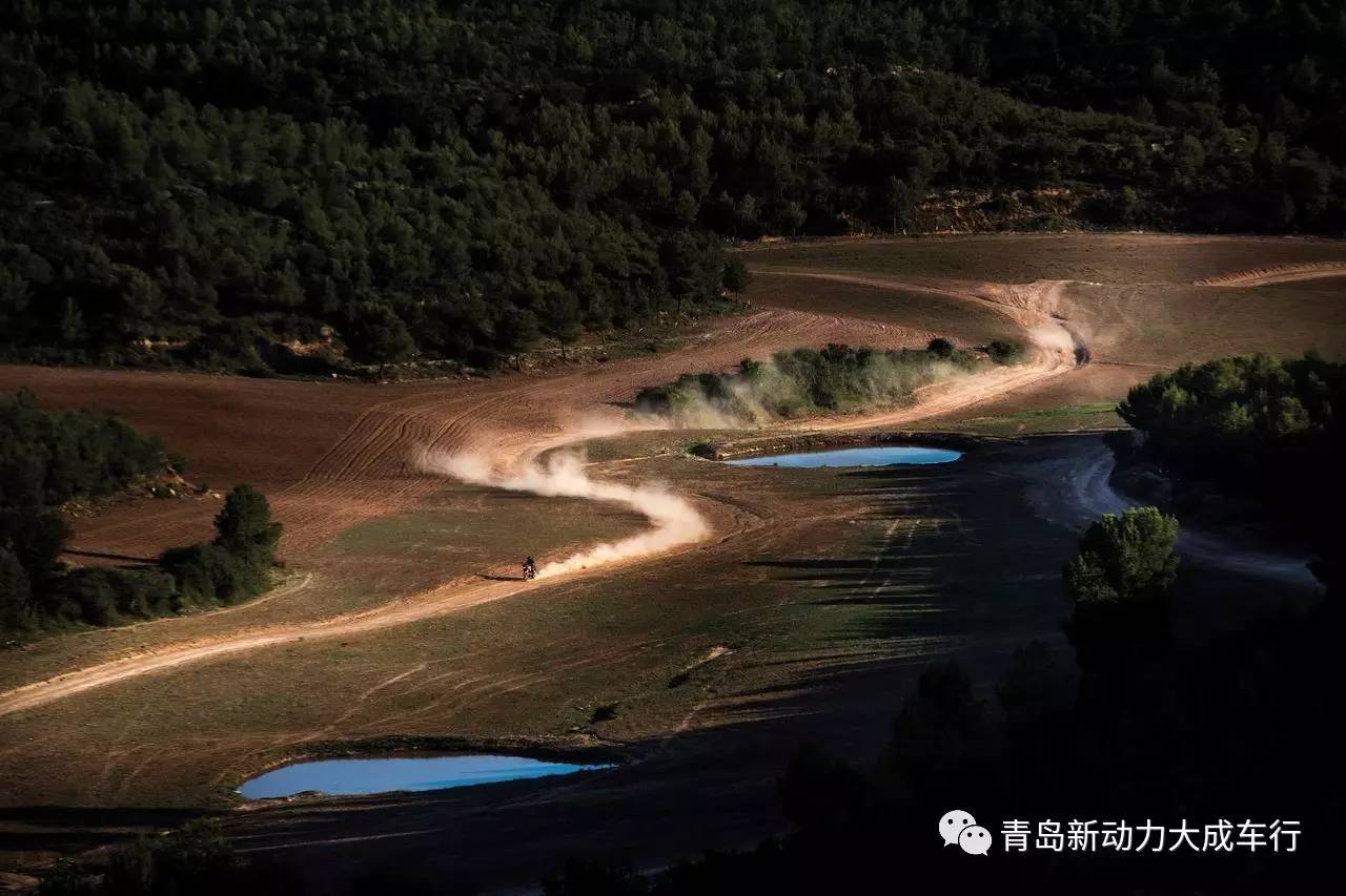 非洲双缸