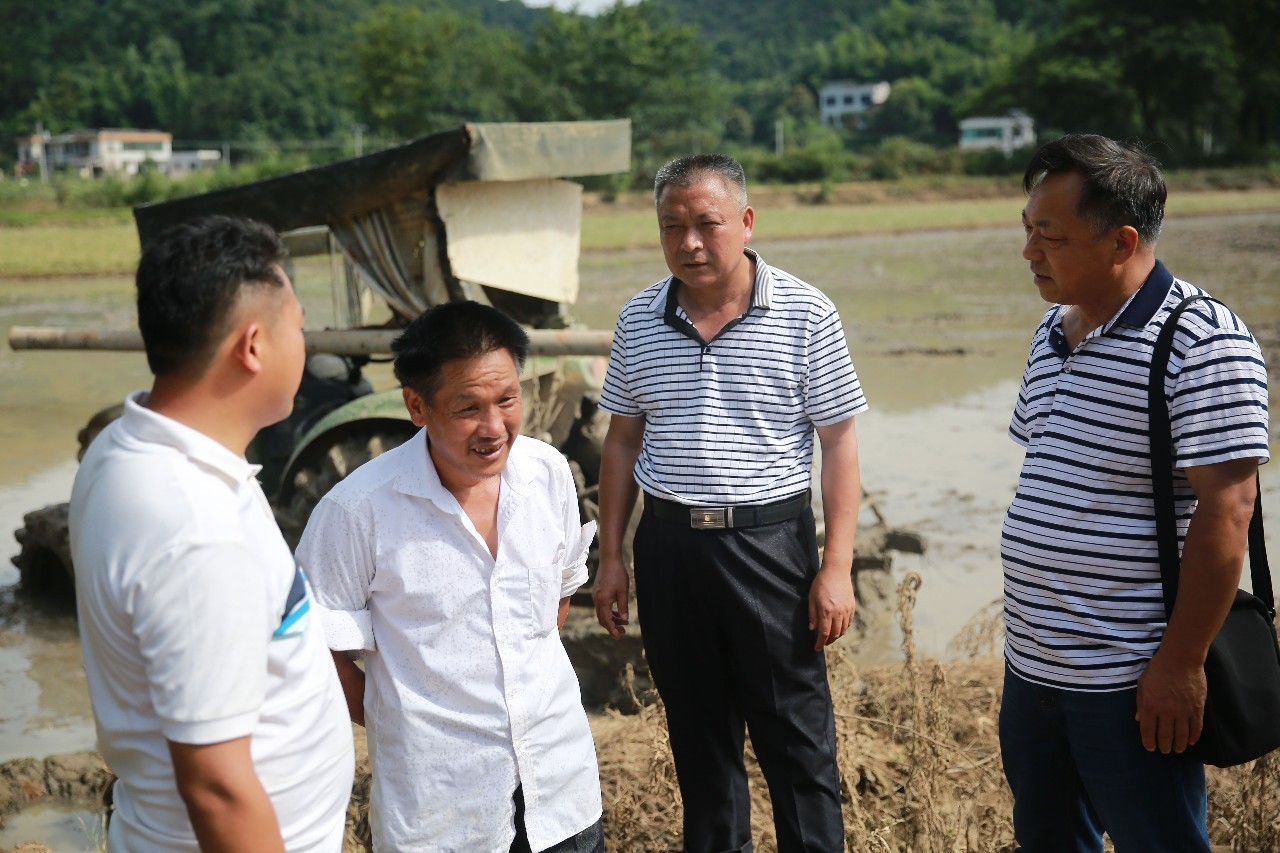 君塘镇人口_宣汉县君塘镇渔池村