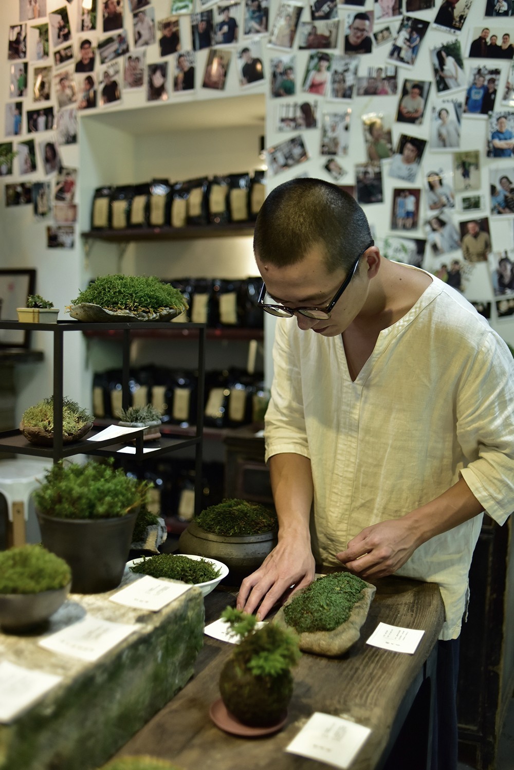 植觉77店庆,7.7折,77种苔和藓,77件作品,77个星球细胞.