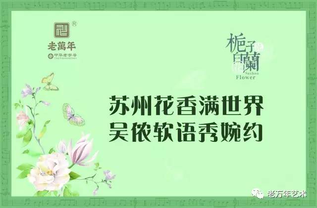 白兰花简谱_白兰花树图片(3)