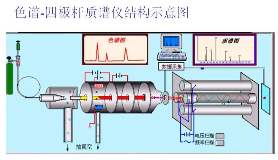 色谱-质谱联用技术及其应用详解