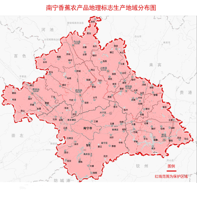 成为最有优势和竞争力的产区之一,而南宁市则是广西最大的香蕉产区.图片