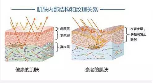 美容超声刀原理是什么_白带是什么图片(3)