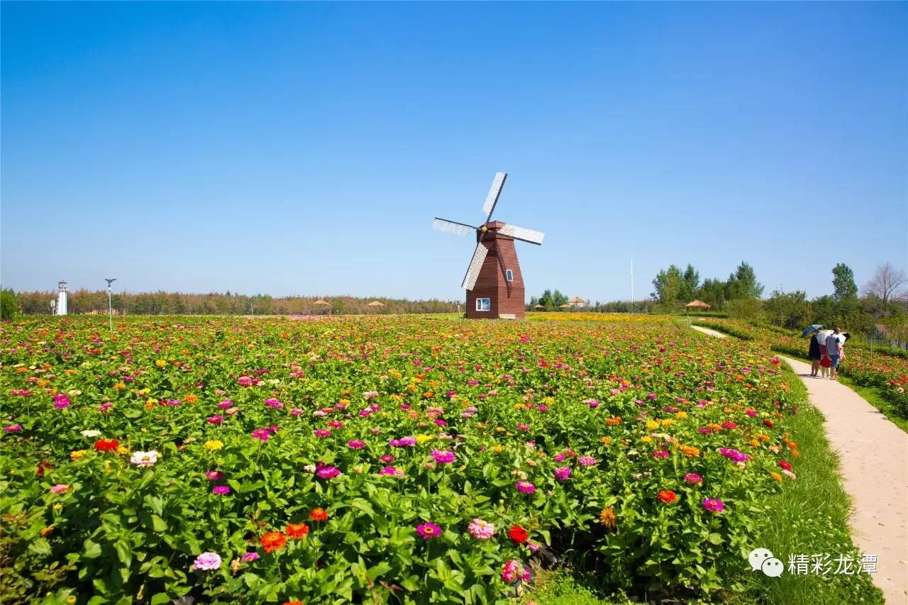 【头条】吉林市金珠花海休闲农业旅游度假区等