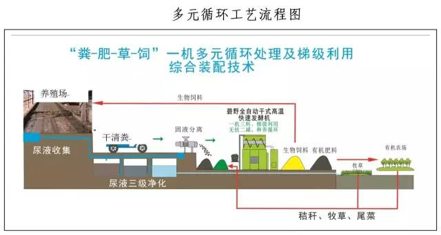 生活中怎样解决人口增长过快的问题(3)