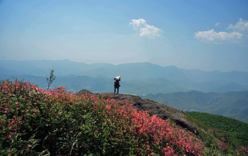 美丽乡村仙山仙水仙岩仙境邂逅美丽仙岩村