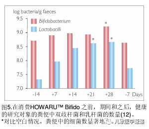 双歧杆菌hn019促进肠道健康