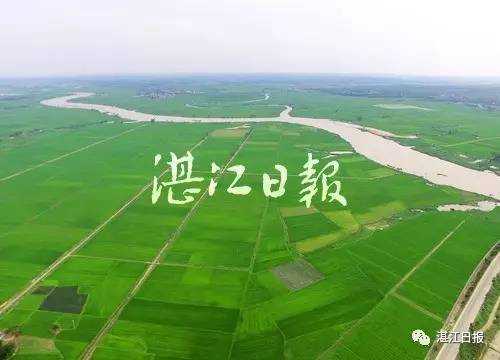 湛江雷州人口有多少_湛江雷州的变化图片(2)